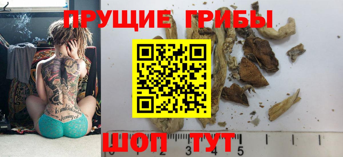 Псилоцибиновые грибы ЛСД  Вход с VPN  Псилоцибиновые грибы Cubensis  Стрежевой 